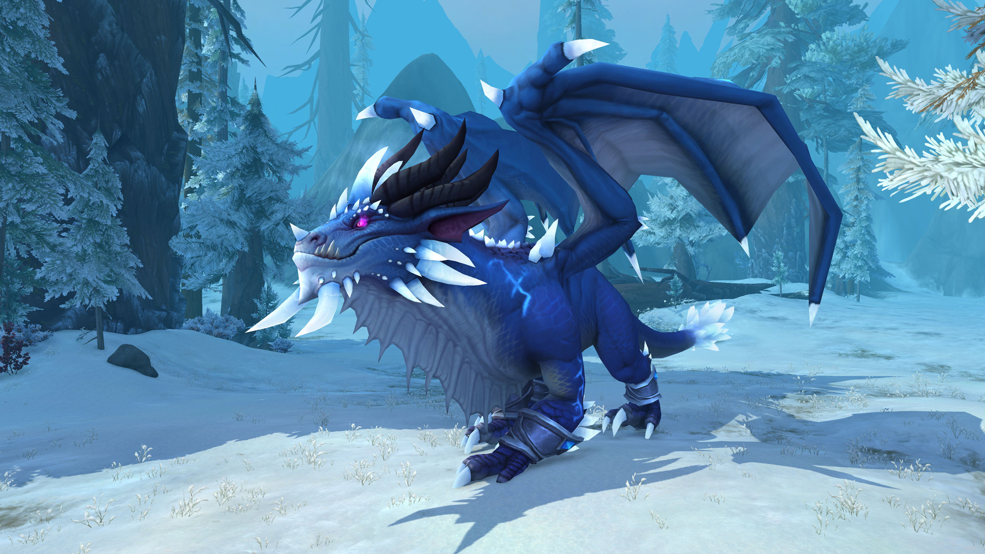 kalecgos_dragon.jpg
